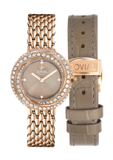 1662 LRMQ 02 ZE - 35MM