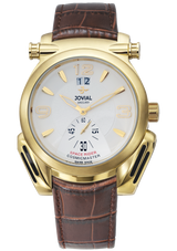 Gold watch with brown leather strap on a white background